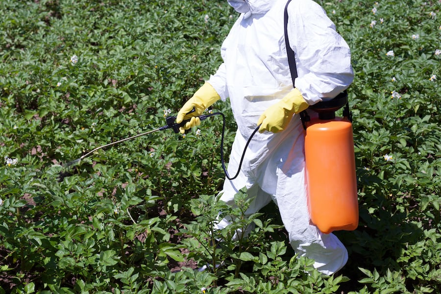 farmer spraying pesticides on crops white suit gloves