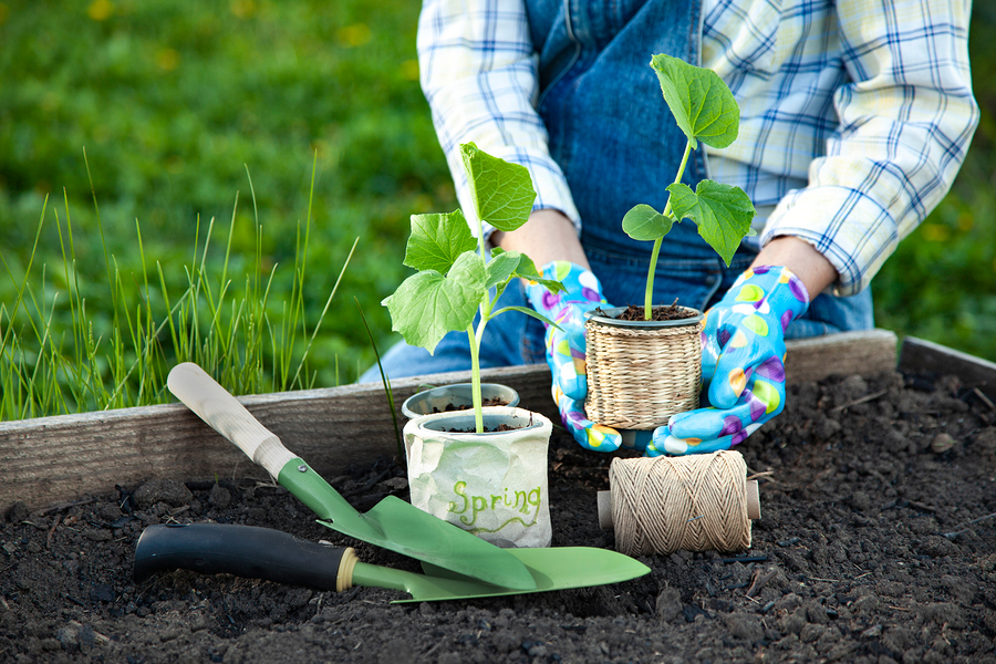 woman gardening in florida