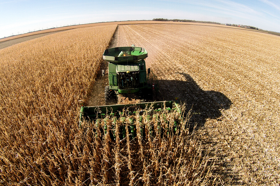 farmer harvesting crops outside tractor 